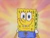 Wallpaper Bob l eponge