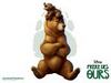 Wallpaper Frere des Ours